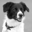 annie-photo