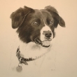 annie-website