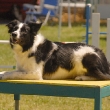 jay-table