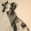 jemima-website